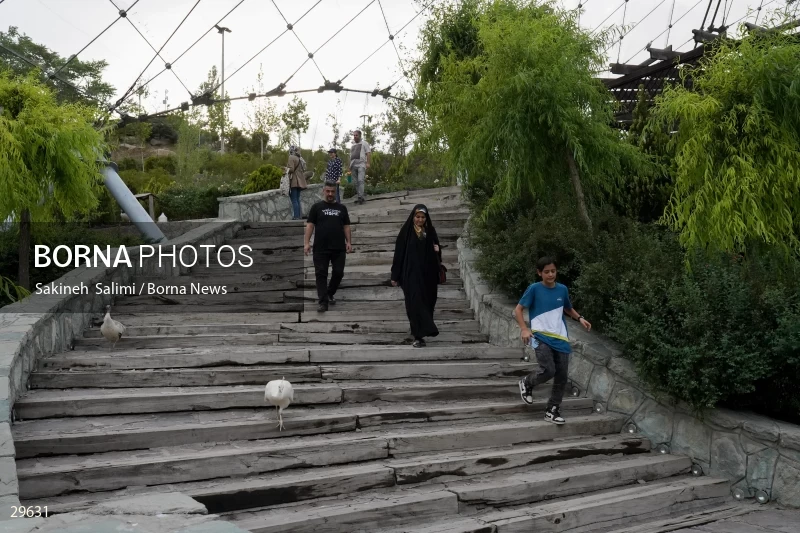 Tehran Birds Garden