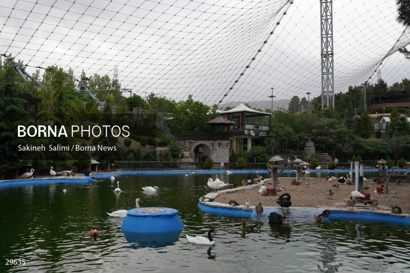 Tehran Birds Garden