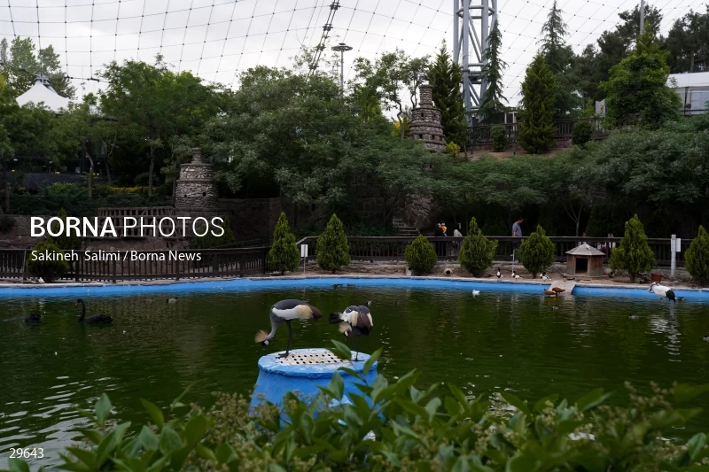 Tehran Birds Garden