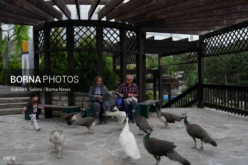 Tehran Birds Garden