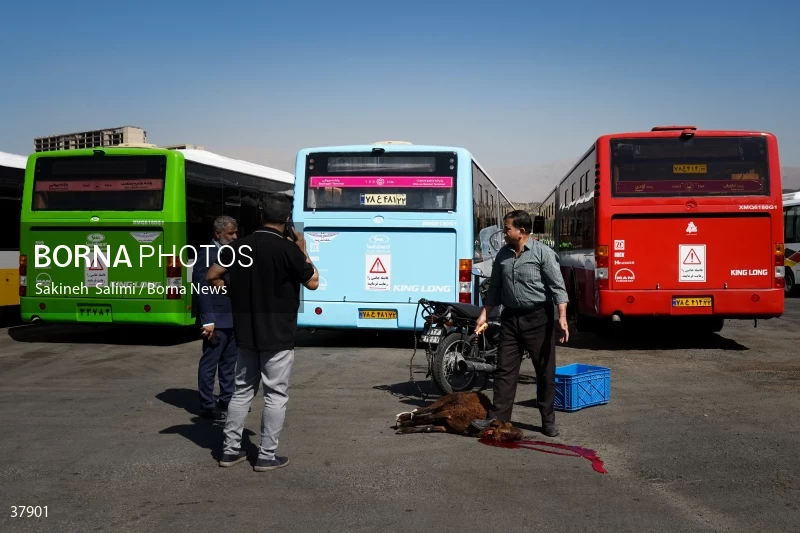 Implementation of the plan for renovating and reconstructing public transportation fleets