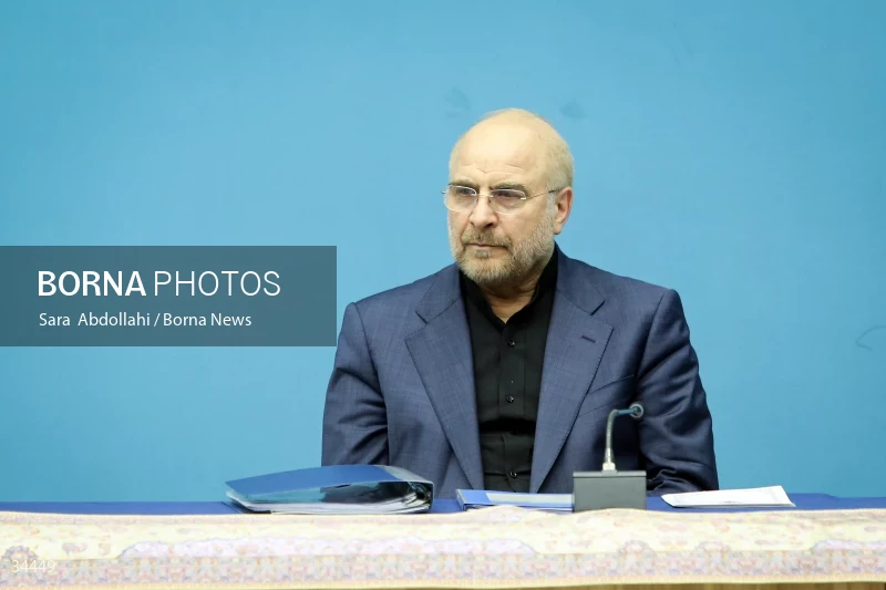 Meeting of the National Virtual Space Center
