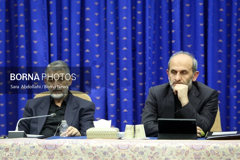 Meeting of the National Virtual Space Center
