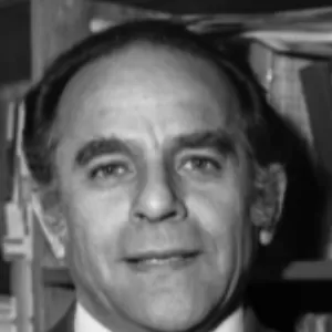Hassan Honarmandi