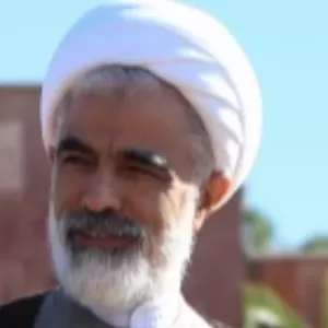 Majid Ansari