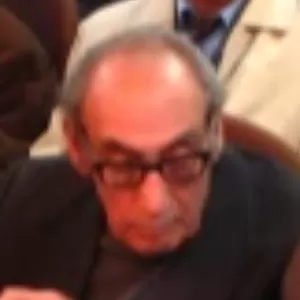Mohammad Ali Amouei