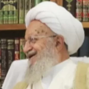 Naser Makarem Shirazi