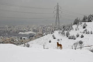 شهر تهران در یک روز برفی