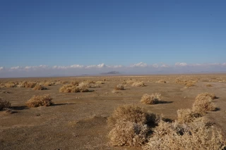 تالاب  گاوخونی