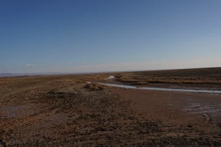 تالاب گاوخونی