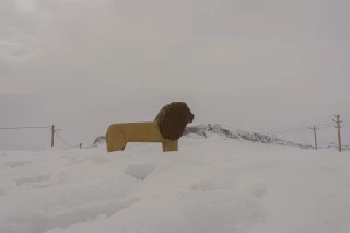 شیر سنگی