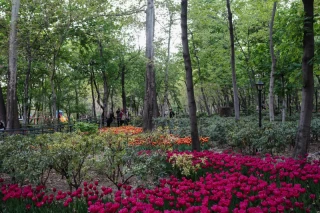 بوستان باغ ایرانی