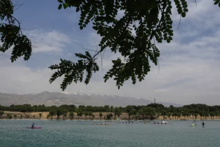 لیگ برتر قایقرانی آبهای آرام ایران