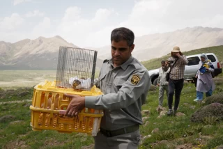 Releasing several species of birds in Lar National Park