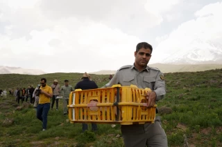 رهاسازی چند گونه پرنده در پارک ملی لار