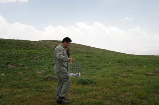 رهاسازی چند گونه پرنده در پارک ملی لار