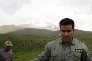 رهاسازی چند گونه پرنده در پارک ملی لار