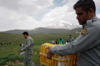 رهاسازی چند گونه پرنده در پارک ملی لار