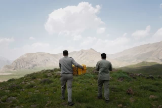 رهاسازی چند گونه پرنده در پارک ملی لار
