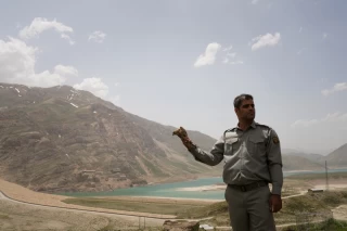 رهاسازی چند گونه پرنده در پارک ملی لار
