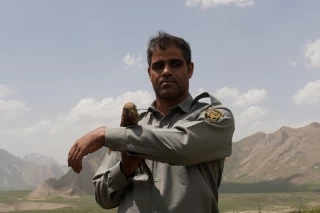 رهاسازی چند گونه پرنده در پارک ملی لار