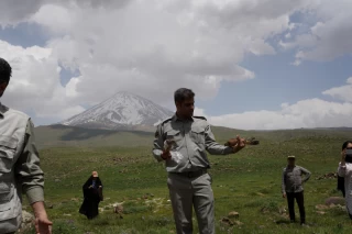 رهاسازی چند گونه پرنده در پارک ملی لار