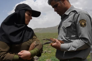 رهاسازی چند گونه پرنده در پارک ملی لار