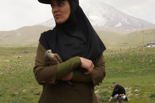 رهاسازی چند گونه پرنده در پارک ملی لار