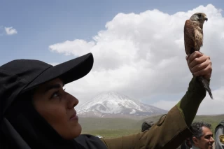 رهاسازی چند گونه پرنده در پارک ملی لار