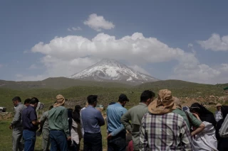 رهاسازی چند گونه پرنده در پارک ملی لار