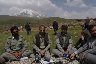 رهاسازی چند گونه پرنده در پارک ملی لار