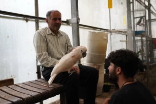 باغ پرندگان تهران