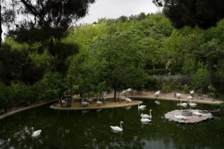 باغ پرندگان تهران