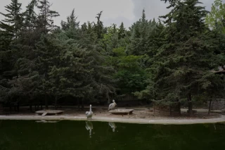 باغ پرندگان تهران