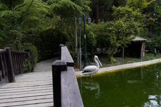 باغ پرندگان تهران