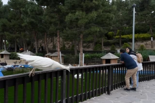باغ پرندگان تهران
