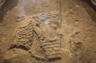 مراسم رونمایی از نقش برجسته ساسانی