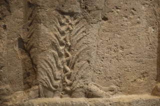 مراسم رونمایی از نقش برجسته ساسانی