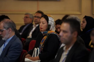 کنفرانس ایران و بریکس